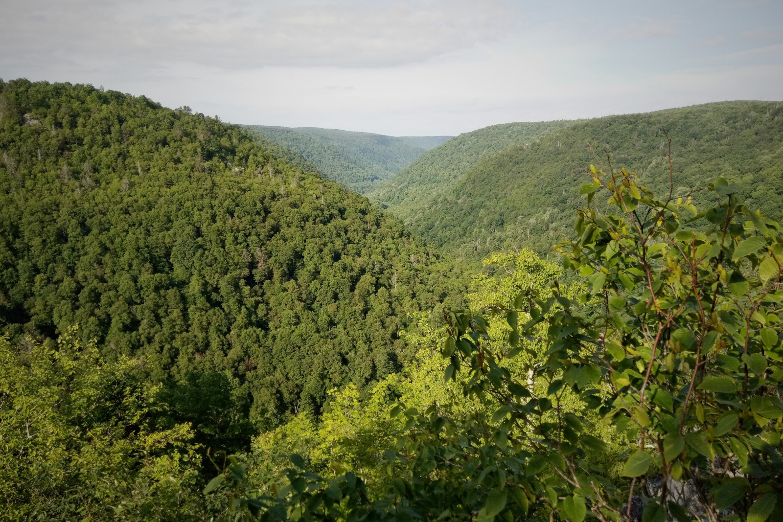 Pace Point Overlook West Virginia