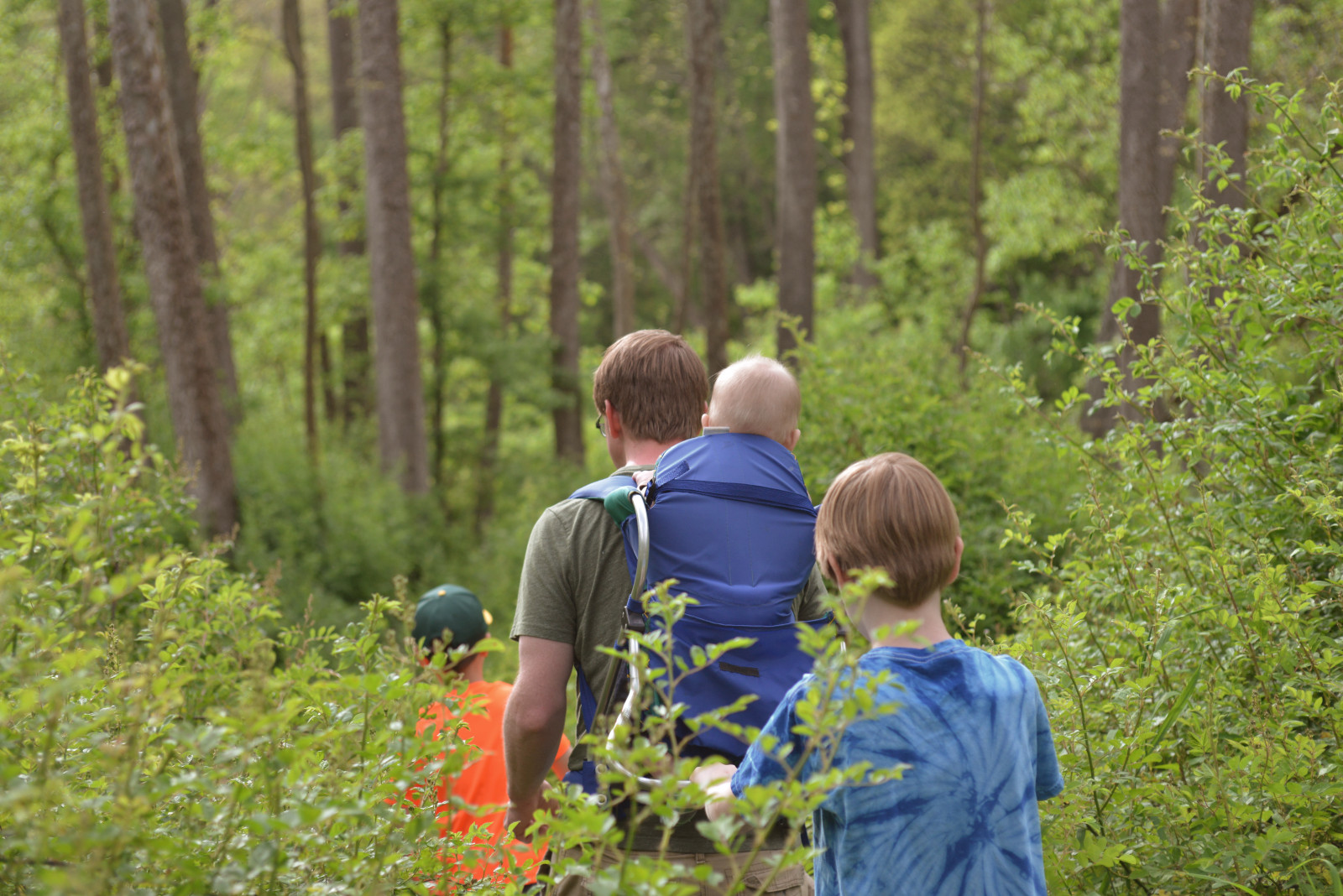 Dad hiking in woods with three boys
