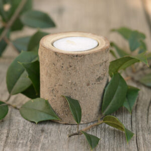 Maple Tree Branch Candle Holder - Single