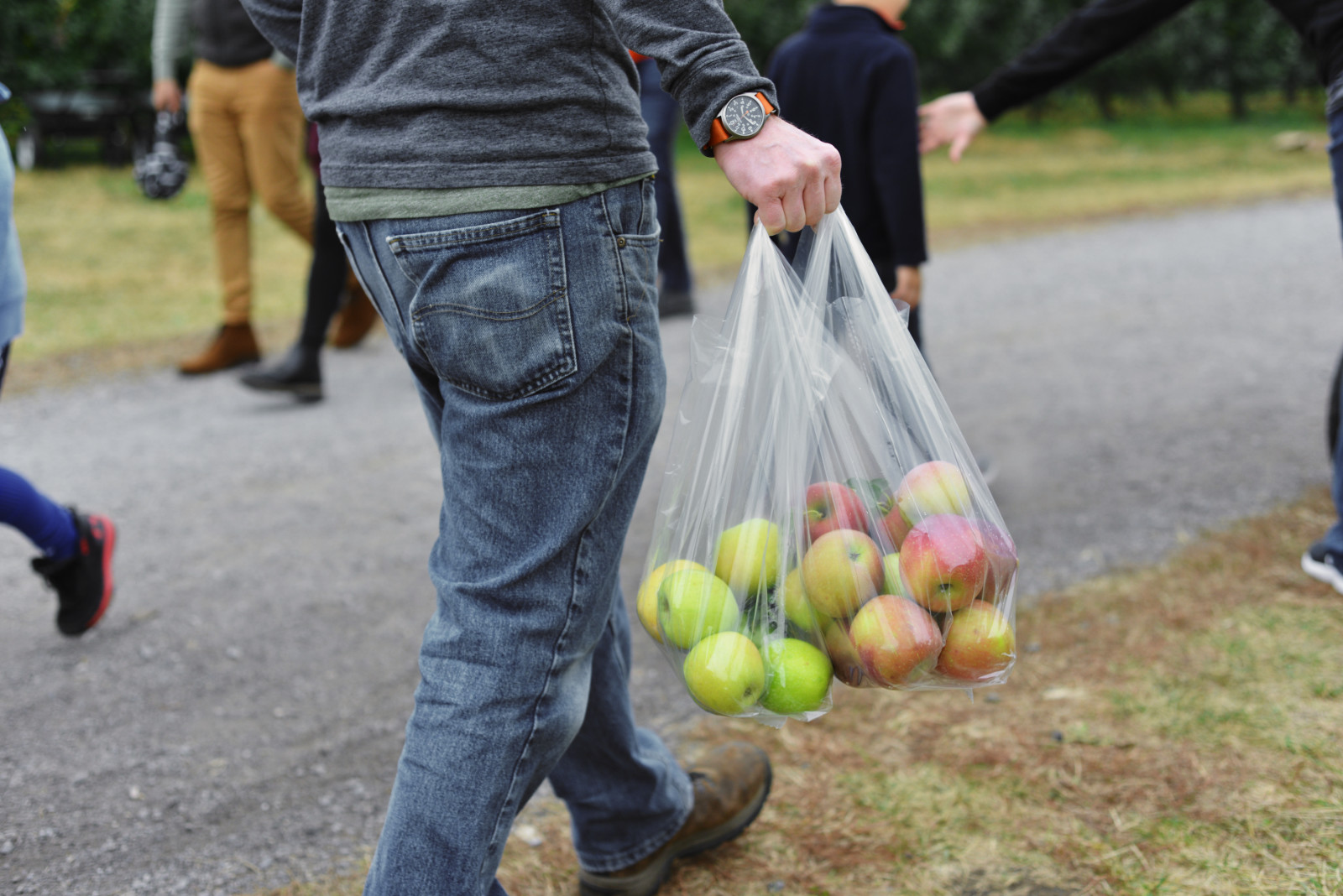 Carrying bag of freshly picked apples